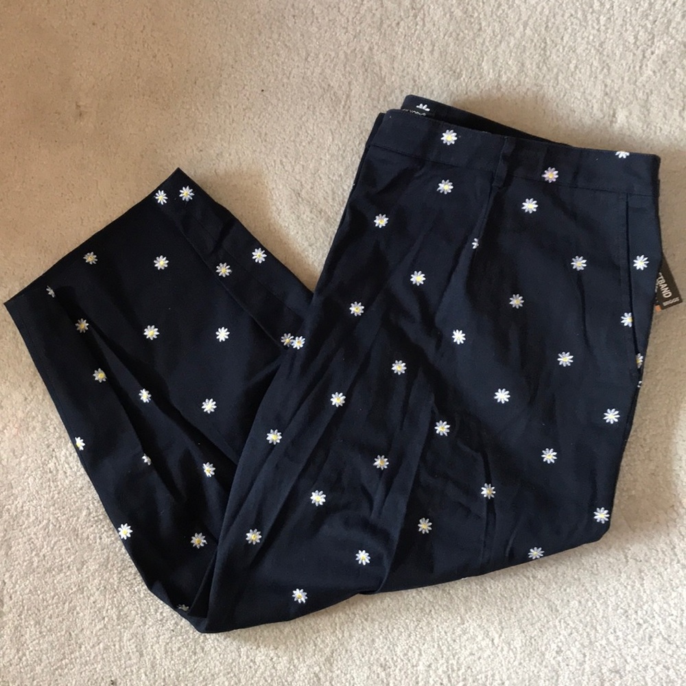 NWT Briggs New York capris